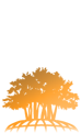 AspenRoot | Professional Technology Consulting